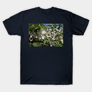 Bee on a flower T-Shirt